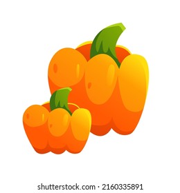 Two pumpkins isolated on white background. Harvest Festival. Fresh Organic Product. Vector Cute Illustration in cartoon style.