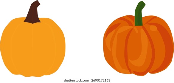 Dos calabazas aisladas. Ilustración vectorial