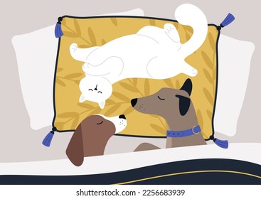 Two puppies and a cat sleeping in bed, pampered animals, cute pets