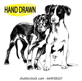 Dos cachorros. Dibujo a mano en estilo vintage. Dibujo infantil. Perro visto joven.