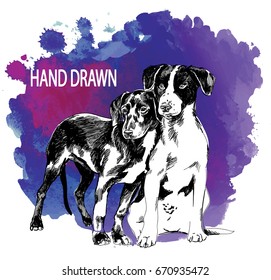 Two puppies. Drawing by hand in vintage style. Children's drawing. Dog spotted young.