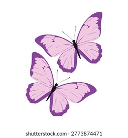 Dos mariposas púrpuras con