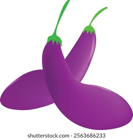 two purple egg plants illustration