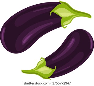Two purple eggplants on a white background. Vector hand drawing.