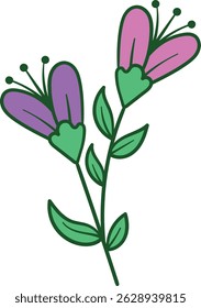 Two purple pink flowers with green stem illustration