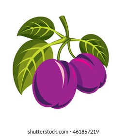 Two purple simple vector plums with green leaves, ripe sweet fruits illustration. Healthy and organic food, harvest season symbol. 
