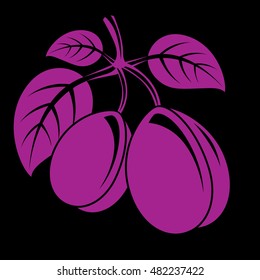 Two purple simple vector plums with leaves, ripe sweet fruits illustration. Healthy and organic food, harvest season symbol. 