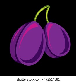 Two purple simple vector plums, ripe sweet fruits illustration. Healthy and organic food, harvest season symbol. 