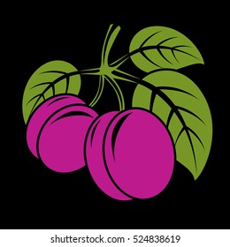 Two purple simple vector plums with green leaves, ripe sweet fruits illustration. Healthy and organic food, harvest season symbol. 