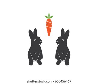 Two Rabbit With Background Carrot