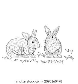 Two rabbits graze on the lawn. Vector coloring.