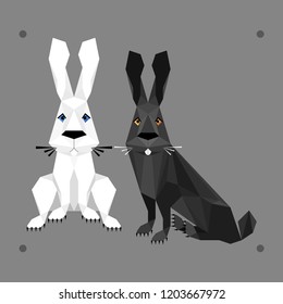Two rabbits, white and black.