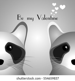 Two raccoons - Be my Valentine.