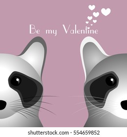 Two raccoons - Be my Valentine.