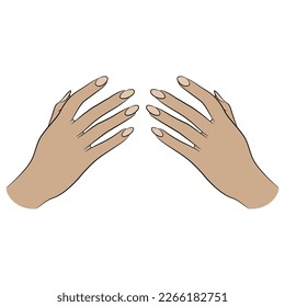 Two raised up beautiful female hands with long nails. Praying gesture. Cartoon style.