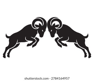Two rams fighting or butting heads, vector illustration of aggressive bighorn sheep, symbol of strength and power, isolated on white background.