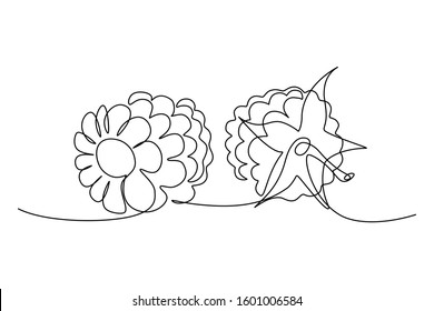Two raspberries in continuous line art drawing style. Minimalist black linear sketch on white background. Vector illustration