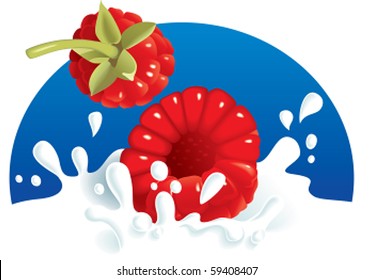Two raspberries falling in milk, blue background. Vector illustration. The same with strawberries in portfolio.