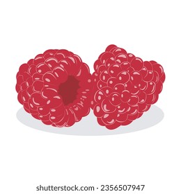 Two raspberries flat isolated illustration