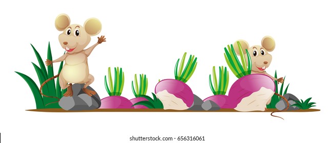 Dos ratas en ilustración de huerto