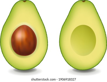 Two Realistic Avocado With White Background With Gradient Mesh, Vector Illustration