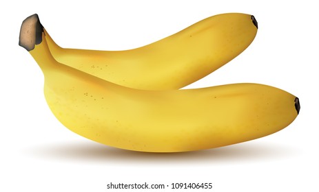 Two Realistic Bananas Closeup Isolated on White Background. Healthy Life Style Concept. 3D Vector Illustration