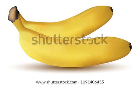 Two Realistic Bananas Closeup Isolated on White Background. Healthy Life Style Concept. 3D Vector Illustration