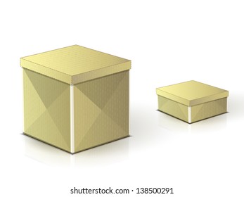 two realistic cardboard boxes on a white background with shadows and reflections