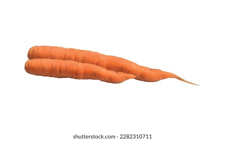 Two realistic carrots on white background vector illustration