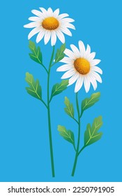 two realistic daisies vector illustration