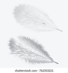 Two realistic down feather birds - isolated on white background - vector art illustration