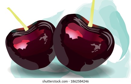 Dos cerezas dibujadas realistas. Resumen de trazos de pintura azul pastel. Vector