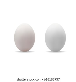 Two realistic eggs. Vector illustration isolated on white background.