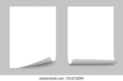 Two realistic empty white paper sheet, paper sheet curled corner of with shadow - stock vector - Shutterstock ID 1911713095
