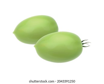 Two realistic green plum tomatoes icon on white background vector illustration
