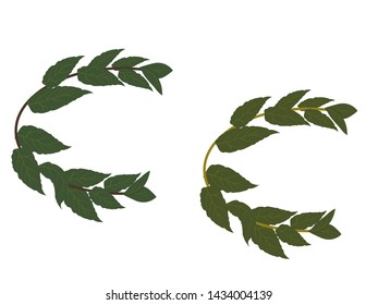 Two realistic laurel wreaths on a white background.