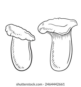 Two realistic leurotus eryngii in black isolated on white background. Hand drawn vector sketch illustration in doodle vintage engraved style. Concept of japanese tasty delicious gourmet for cooking.