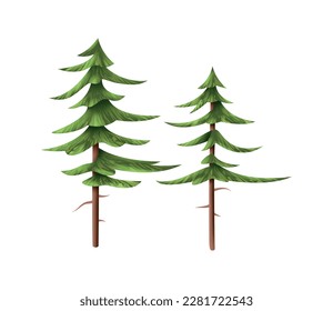 Two realistic pine trees on white background vector illustration