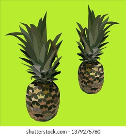 two realistic pineapple vector art