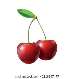 Two realistic ripe cherries with green leaf vector illustration