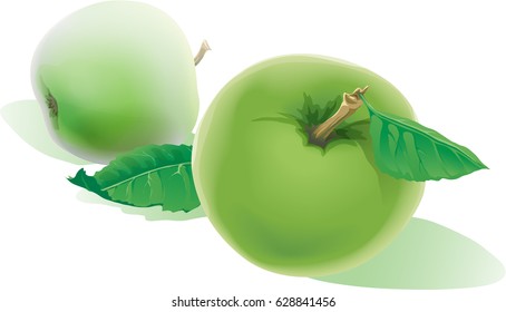 Two realistic ripe green apples with green leaves isolated on a white background.
