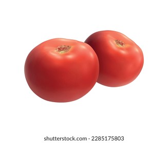 Two realistic ripe red tomatoes vector illustration