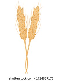 Dos espigas realistas de icono de trigo aisladas sobre un fondo blanco. Ilustración vectorial.