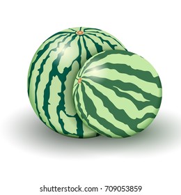 Two realistic watermelons from new harvest isolated on a white background. Vector illustration.