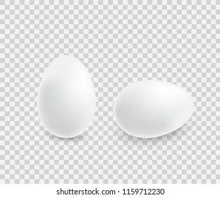 Two realistic white eggs. Isolated vector on transparent background. Illustration for bird eggs, food, poultry farming, gastronomy, cooking, etc