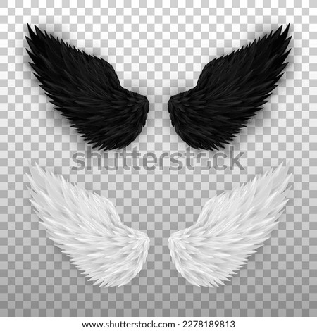 Two realistic wings isolated on transparent background. 3D white angel wings and dark devil, daemon wings. Heaven and hell, good and evil concept. Festival, masquerade, carnival costume. 