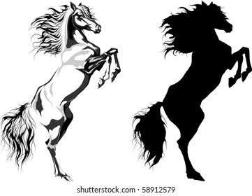 Two rear horses: monochrome illustration and silhouette