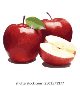 Two red apple fruits and half with colored vector illustration