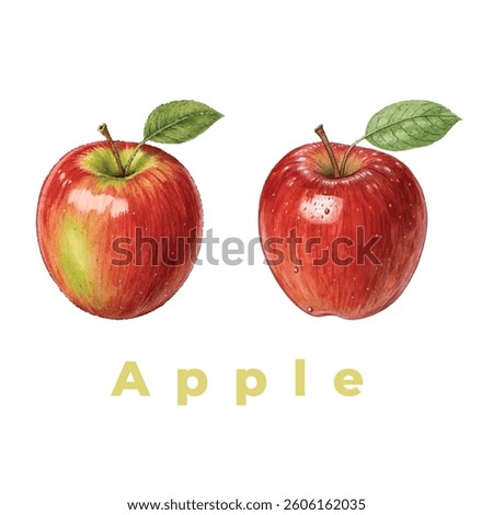 two red apples with leaves, a healthy and delicious fruit, isolated on white. fresh and vibrant image