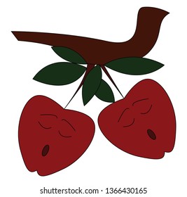 Two red apples on a tree branch vector illustration on white background